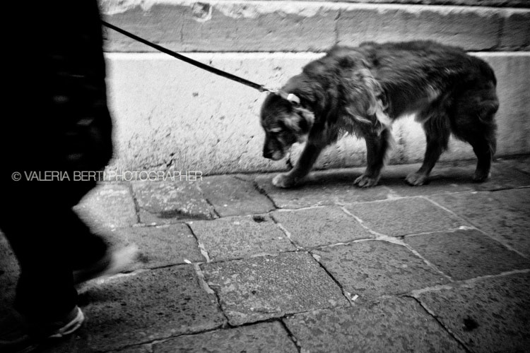street-photography-venezia-0001