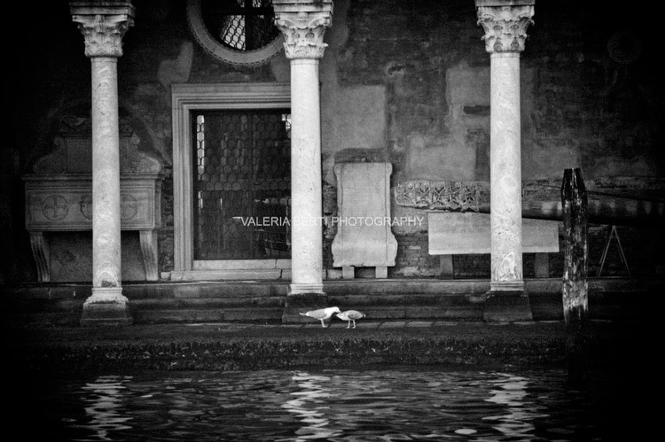 Fotografo Fine Art Venezia